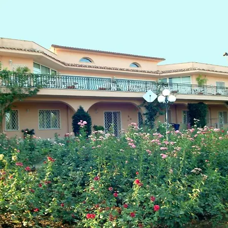 Bed & Breakfast Birdland
