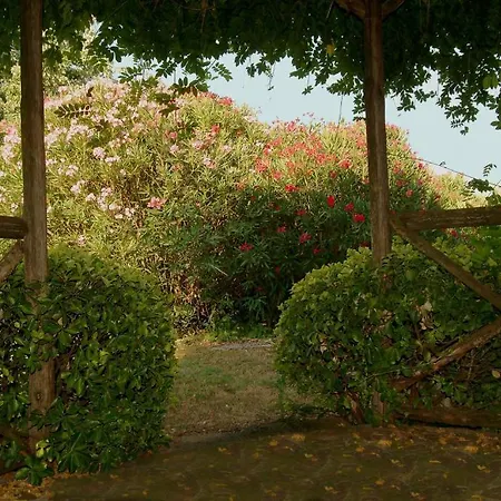 Birdland Bed and breakfast Castelnuovo Di Porto