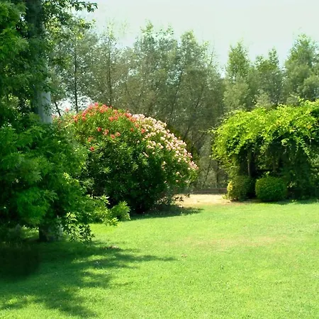 Birdland Bed and breakfast