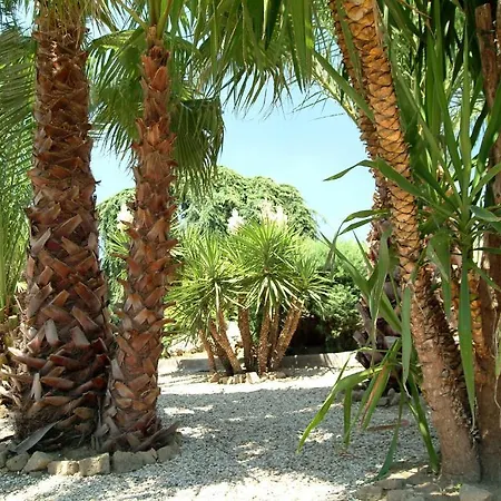Birdland 3*