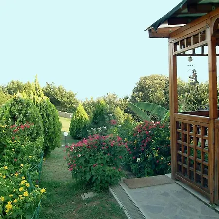 Bed and breakfast Birdland 3*